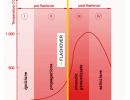 curve di incendio