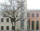 varese mutilato img 7347x400