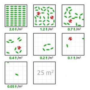 affollamento